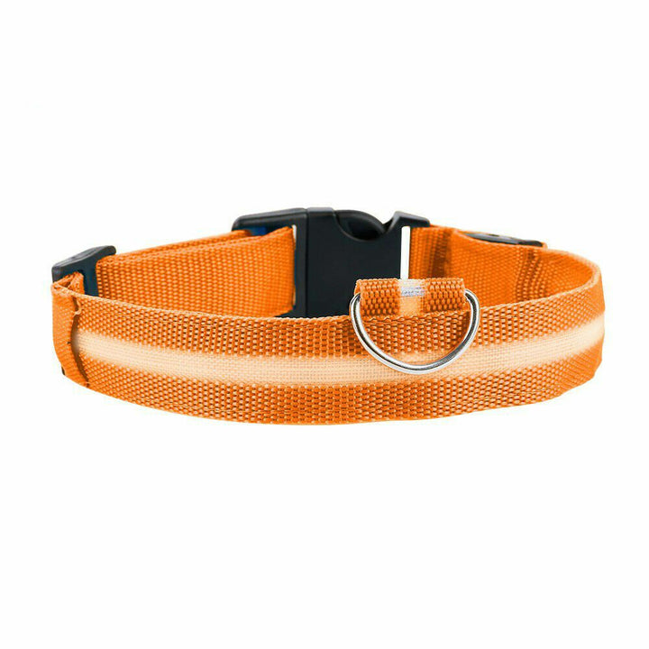 USB Rechargeable LED Dog Pet Collar Flashing Luminous Safety Night Light-XS-Orange