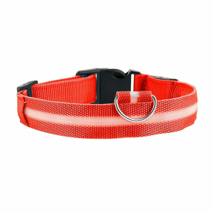 USB Rechargeable LED Dog Pet Collar Flashing Luminous Safety Night Light-XS-Red